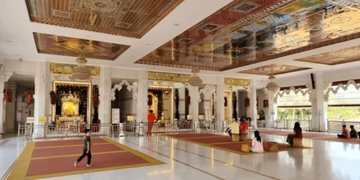 About Shree Narayani Dham Temple