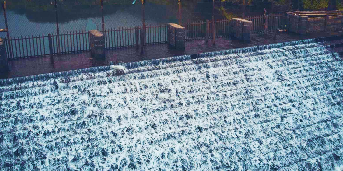 Bhushi Dam Tigers Point