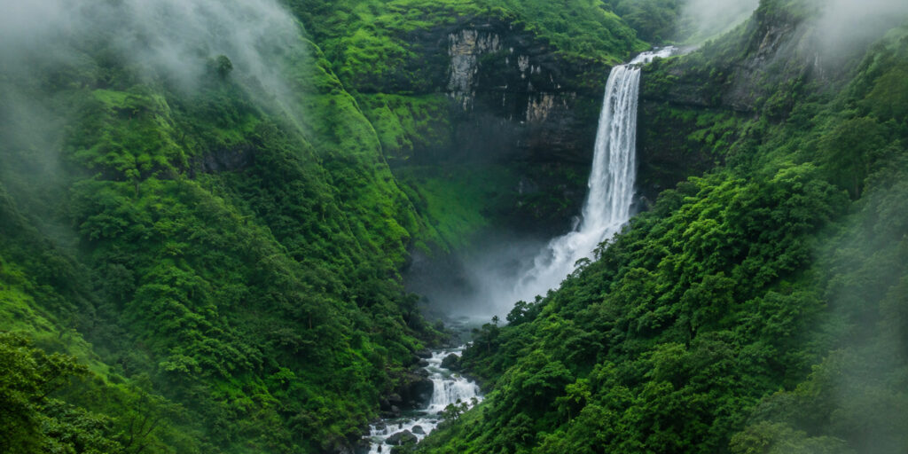 How to Plan a Monsoon Trip to Kune Waterfall in Lonavala 8 How to Plan a Monsoon Trip to Kune Waterfall in Lonavala
